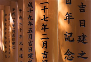 Close-up of torii gates