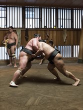 Wrestlers Sumo Training Session