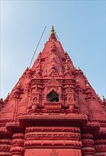Red Shri Durga Monkey Temple