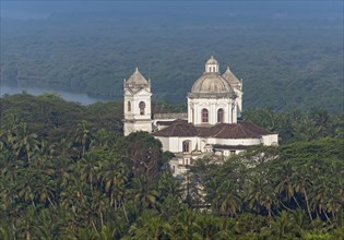 St. Cajetan Church among palm trees