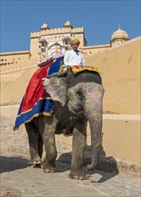 Painted Indian elephant at Amber Fort