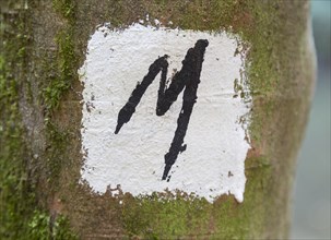 Sign M on a wall as a sign for the way of Malerweg hiking trail
