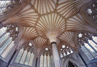 Vaulted ceiling of the Chapter House of the medieval Wells Cathedral