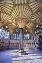 Vaulted ceiling of the Chapter House of the medieval Wells Cathedral