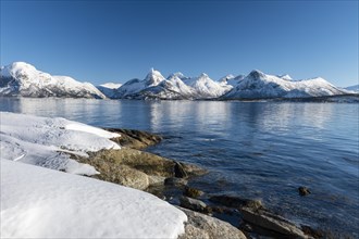 Coastal landscape by the fjord