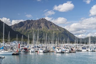 Boats in the port of Seward