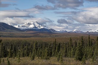 Snow covered mountains of the Alaska Range with tundral landscape