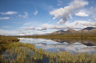 Lake in autumnal tundral landscape