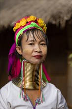 Padaung long-necked woman with brass neck rings