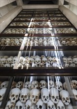 5000 Human Skulls