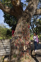 Girl on Killing Tree with bracelets in memory of killed children