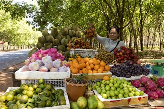 Fruit seller on National Highway 7 near Memot