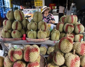 Durian (Durio zibethinus) at the market stall