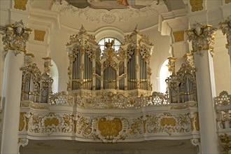 Organ gallery