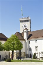 Courtyard Medieval Castle