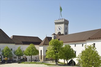 Courtyard Medieval Castle