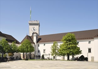 Courtyard Medieval Castle