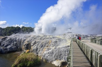 Pohutu Geyser and Prince of Wales Feathers Geyser