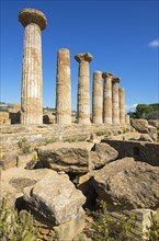 Remains of Temple of Heracles