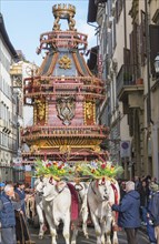 Decorated ox cart at the Cart festival at Easter