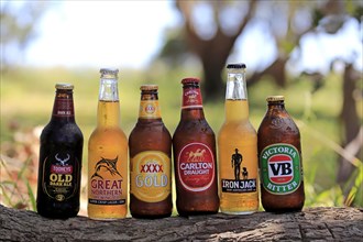 Different Australian beer brands
