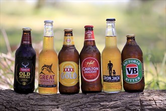 Different Australian beer brands
