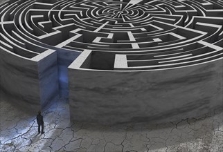 Man in front of labyrinth