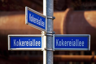 Street signs Kokereiallee