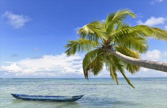 Idyllic beach with boat and palm tree