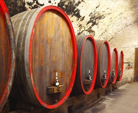 Old wooden wine barrels