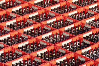 Red beer crates with empty beer bottles