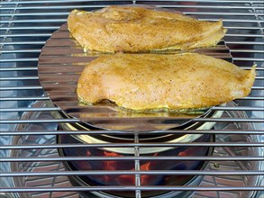 Chicken breast on a grill
