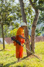 Monk mowing the lawn with a brush cutter or lawn trimmer