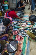 Market stand with fish on ground