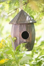 Wooden birdhouse hanging from tree