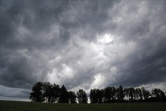 Storm clouds over field and row of trees in Beuerberg
