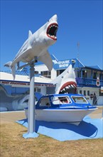 Great White Shark Exhibition