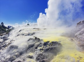 Pohutu Geyser and Prince of Wales Feathers Geyser