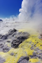 Pohutu Geyser and Prince of Wales Feathers Geyser