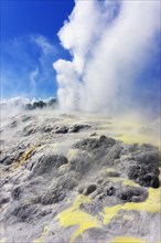 Pohutu Geyser and Prince of Wales Feathers Geyser