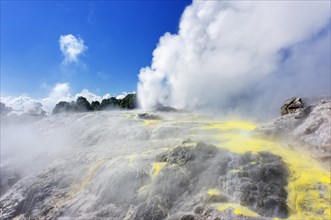 Pohutu Geyser and Prince of Wales Feathers Geyser