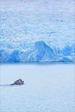 Boat at the Grey glacier front