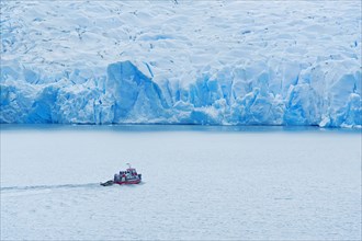Boat at the Grey glacier front