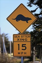 Traffic sign Caution Sea Otter