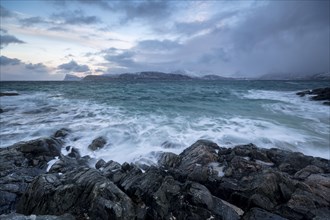 Waves