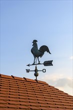 House roof with weather vane with weather vane