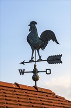 House roof with weather vane with weather vane