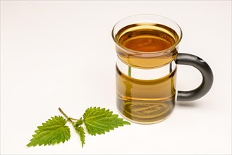Nettle Tea (Urtica dioica)