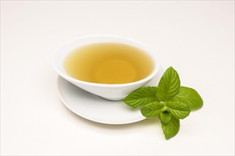 Peppermint tea (Mentha x piperita)