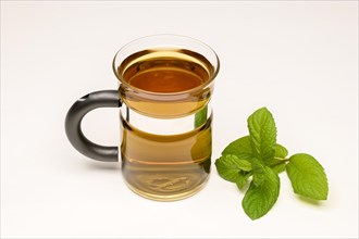 Peppermint tea (Mentha x piperita)
